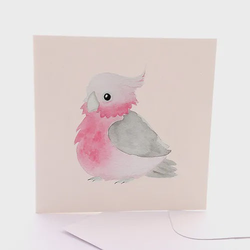 Baby Galah Greeting Card