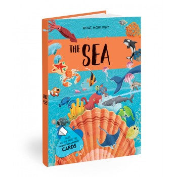 Sassi What How Why The Sea Book and Poster