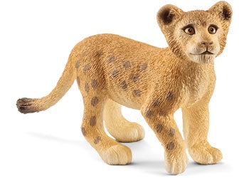 Lion Cub