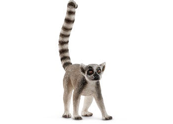 Ring-tailed lemur