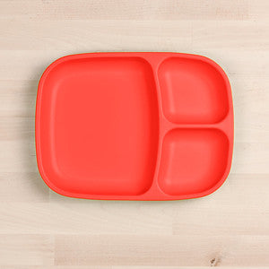 Replay Divided Tray