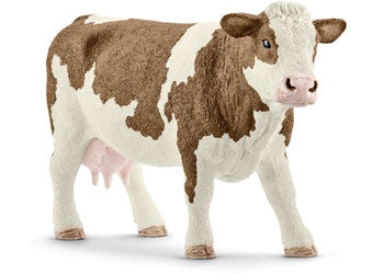 Simmental Cow