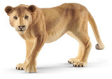 Lioness