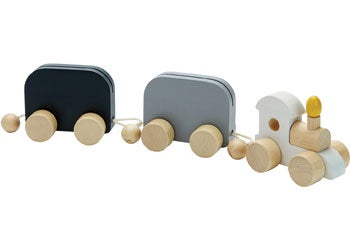 Celebration Train