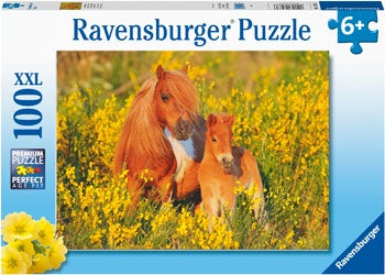 Shetland Ponies Puzzle - 100 piece