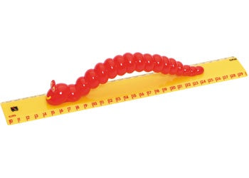 My First Ruler 30cm Caterpillar