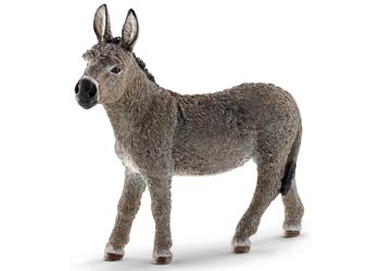 Donkey