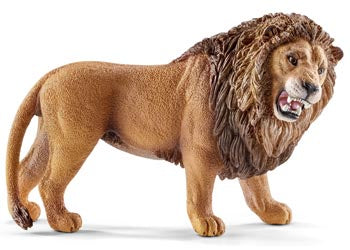 Lion Roaring