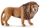 Lion Roaring
