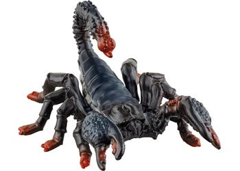 Emperor Scorpion